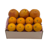 BOX12 - Get Well Vitamin C Gift - Honey Bear Fruit Baskets